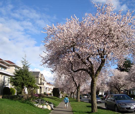 張貼日期：2011/3/4