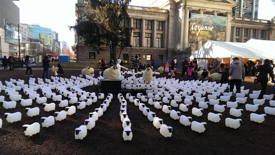 溫哥華美術館廣場之數百隻綿羊裝置藝術