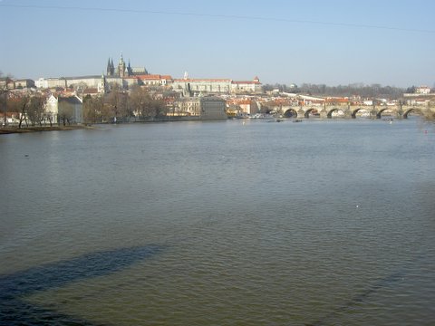 přijato:2006/5/22