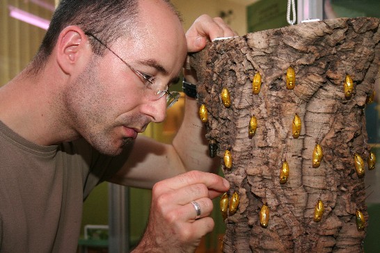 Posting-Datum：2009/8/25