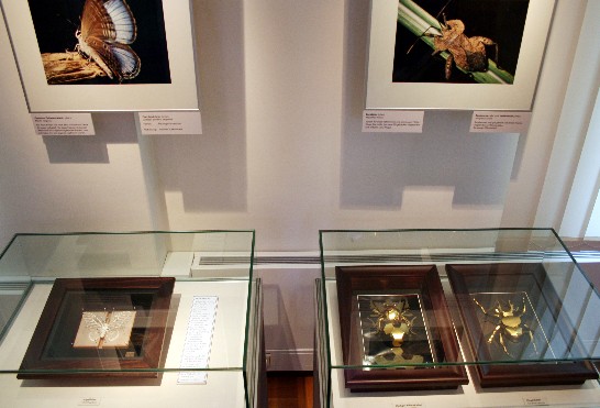 Posting-Datum：2009/8/25