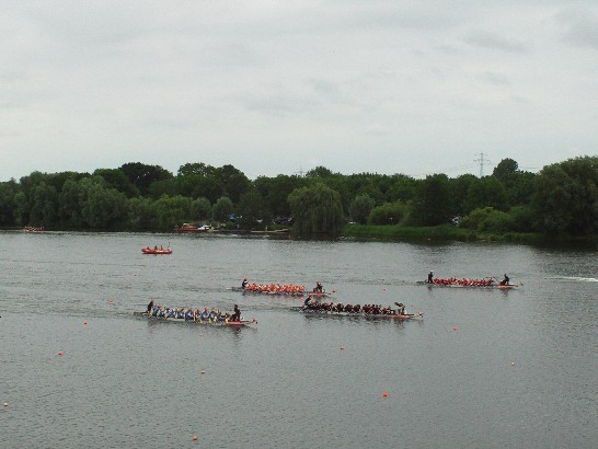 參賽船隊奮力划向終點