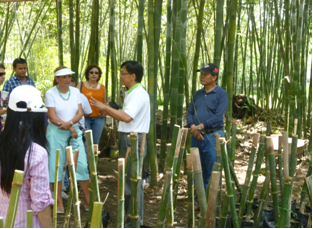 fecha de publicación:2012/3/9