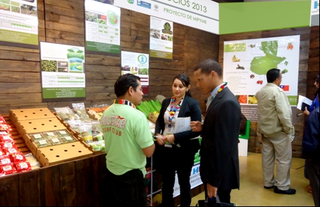 fecha de publicación:2013/4/26