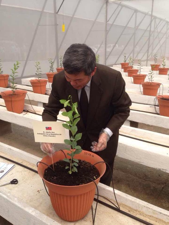 fecha de publicación:2015/4/22