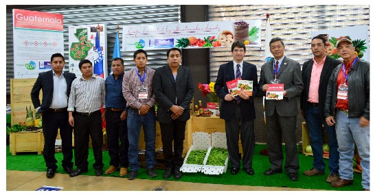 fecha de publicación:2015/3/13