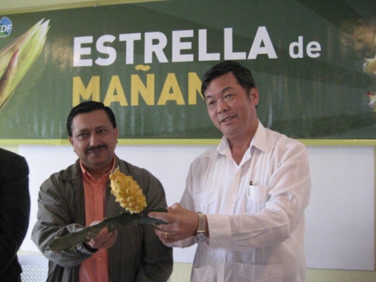 中華民國孫大使大成與瓜地馬拉農牧糧食部部長Julio César Recinos共同主持金龍果命名及發表記者會。