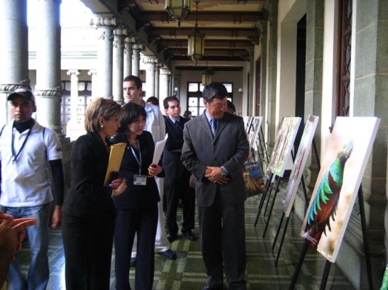 fecha de publicación:2009/3/23