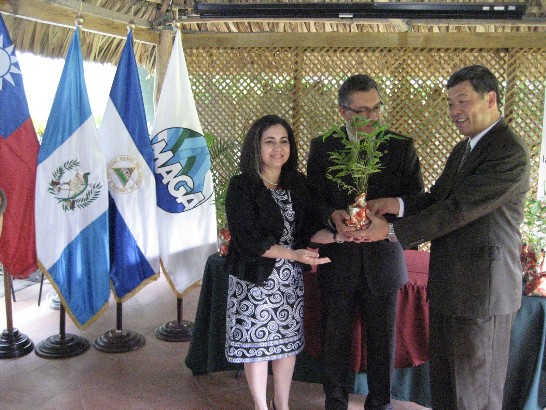 本館孫大使（右一）代表慶富造船公司捐贈瓜國農牧暨糧食部竹苗，部長戴雷昂（Juan Alfonso De León,中）與次長桑鐸芭（Carmen Sandoval,左）代表接受。