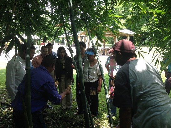 宏駐瓜潘大使一行仔細聆聽如何採收鮮筍。