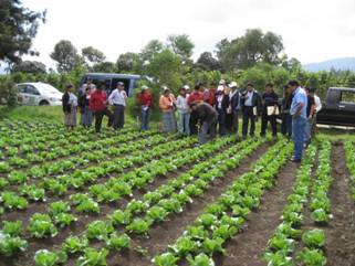 張貼日期：2009/12/1