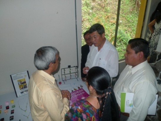 張貼日期：2009/6/22