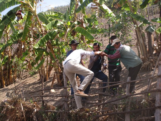 果園地勢陡峭，專家們奮力地爬上果園。