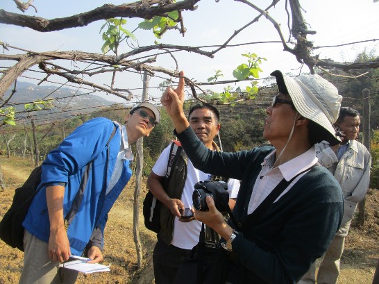 專家們與果農及農業推廣員分享及指導剪枝等專業技術知識。