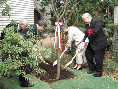 　２００７年１１月２９日、台北駐日経済文化代表処は、旧皇族および旧華族関係者等で組織されている「社団法人霞会館」より台湾緋桜３本の寄贈を受け、代表処公邸の庭において植樹式を開催し、「社団法人霞会館」の北白川道久・理事長、梅渓通明・常務理事ならびに許世楷・台北駐日経済文化代表処代表、盧千恵・代表夫人により植樹が執り行なわれた。