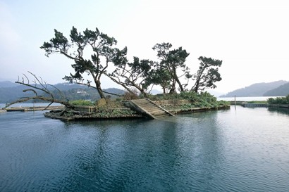 台湾中部の景勝地・日月潭。その中央に浮かんだ小島が拉魯島です。ここは台湾原住民族の一部族であるサオ族の祖霊が宿る土地とされ、古くから神聖視されてきました。日本統治時代は「玉島」と呼ばれ、頂上に神社が設けられていました（現在もその石段を見ることができます）。戦後は「光華島」と改名され、神社の跡地に縁結びの神様である月下老人の祠が設けられていました。ここはもともと、人が暮らすほどの大きさがあった島ですが、日本統治時代に水力発電所の建設が決まり、日月潭をその貯水池とするために引水が行なわれ、縮小されてしまいました。さらに1999年の大地震で山頂部が残るだけとなって現在に至っています。上陸はできませんが日月潭の湖面にアクセントを付ける存在として、シンボルになっています。