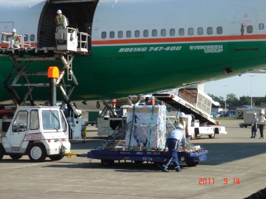 丹頂鶴準備運上飛機。