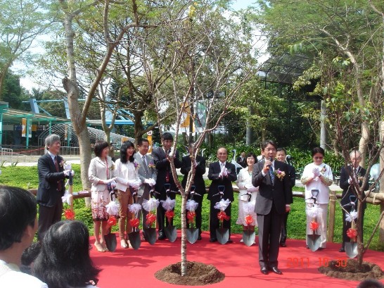 記念の桜木を植える