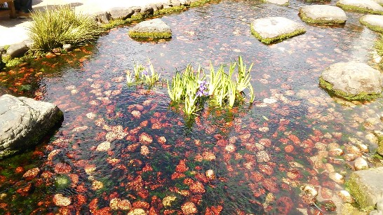 張貼日期：2014/4/18