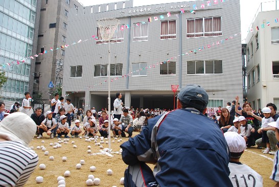 発信日時：2013/11/6