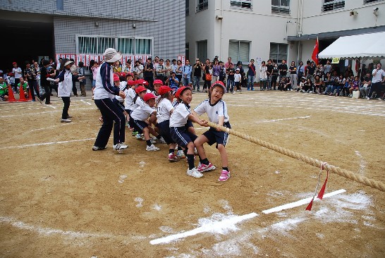 発信日時：2013/11/6
