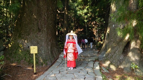 発信日時：2014/4/17