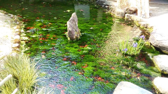 発信日時：2014/4/18