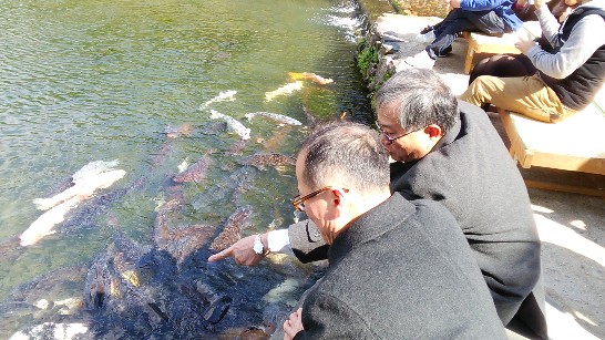 発信日時：2014/4/18