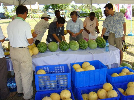 張貼日期：2009/10/3