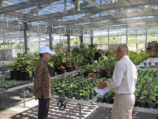 張貼日期：2013/2/7