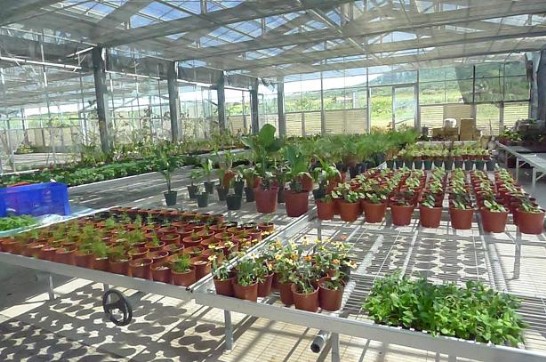 張貼日期：2013/3/15