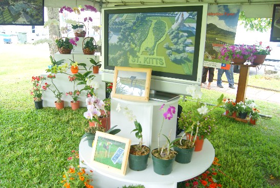 我新觀光示範農場應克國能源部及總理辦公室邀請於能源展所佈置展攤，現場播放觀光農場3D示意影片介紹該農場太陽能應用規劃及農場未來願景。