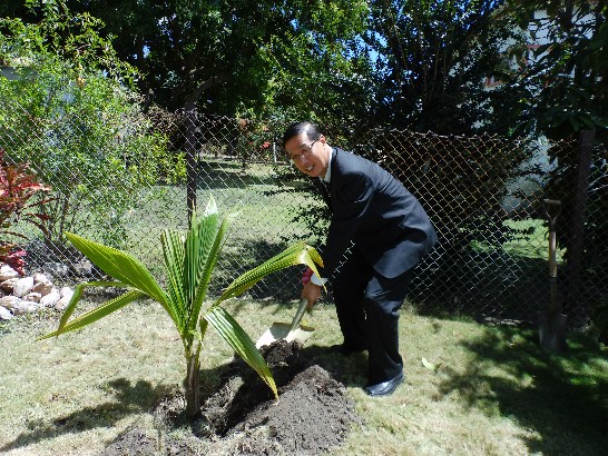 曹大使為椰子樹苗執鏟覆土，祝願樹苗早日成蔭、結實。