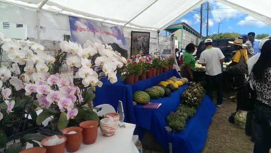 張貼日期：2014/3/29