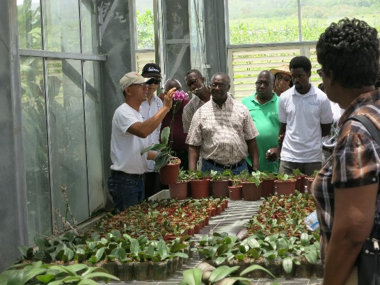 新觀光示範農場合作計畫簡花卉專家(左一)向國合之友會介紹花卉培育過程及情形。