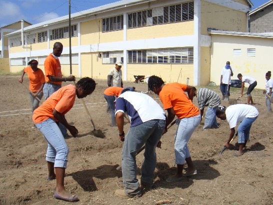 Technical Mission Specialists teach high school students  to prepare a campus lot for growing canteloupes