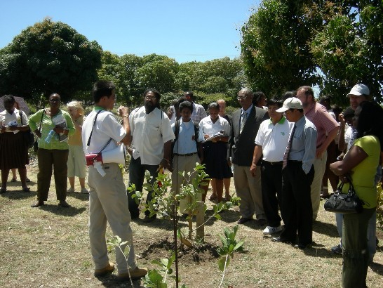 張貼日期：2009/3/19