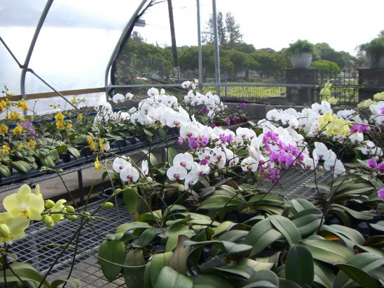 張貼日期：2008/4/17