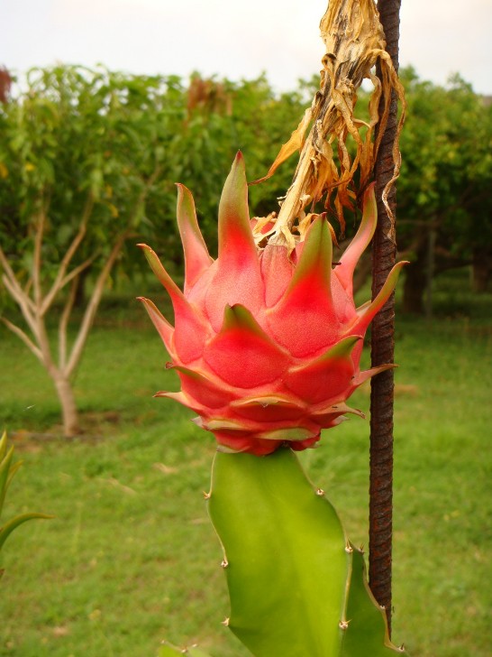 張貼日期：2009/8/26