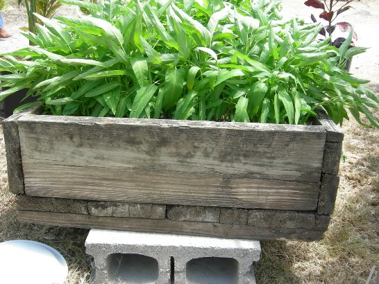 張貼日期：2009/3/27