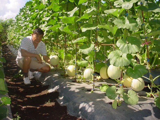 張貼日期：2005/9/14