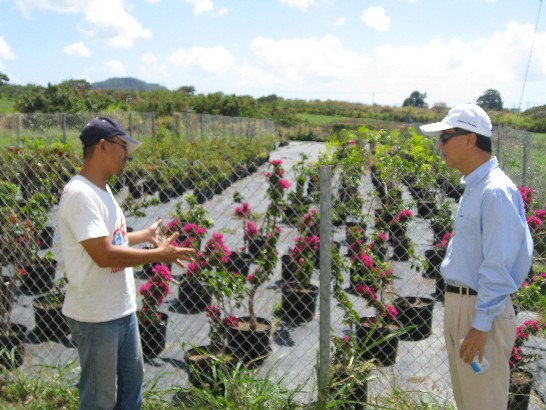 簡花卉專家瑞隆(左一)向曹大使說明花圃內九重葛等造景花卉培植情形。
