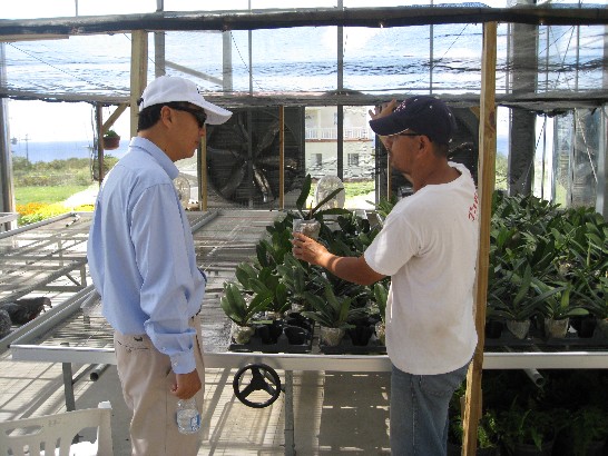 張貼日期：2013/2/16