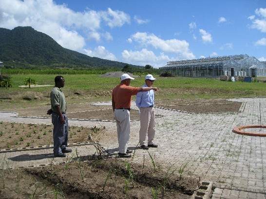 林園藝專家新發(中)向曹大使(右)說明園區內克國傳統藥草植物專區工程進展。