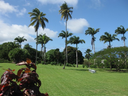 張貼日期：2009/2/12