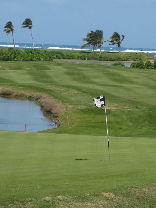 張貼日期：2009/2/21