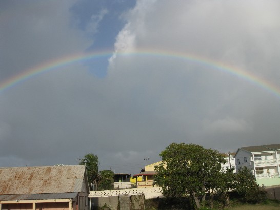 張貼日期：2009/3/26