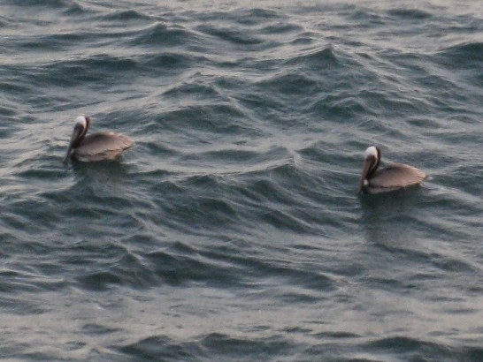 張貼日期：2009/2/25