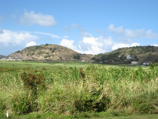 張貼日期：2009/1/28