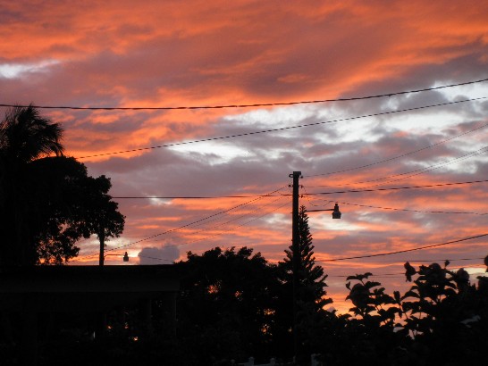 張貼日期：2009/2/18